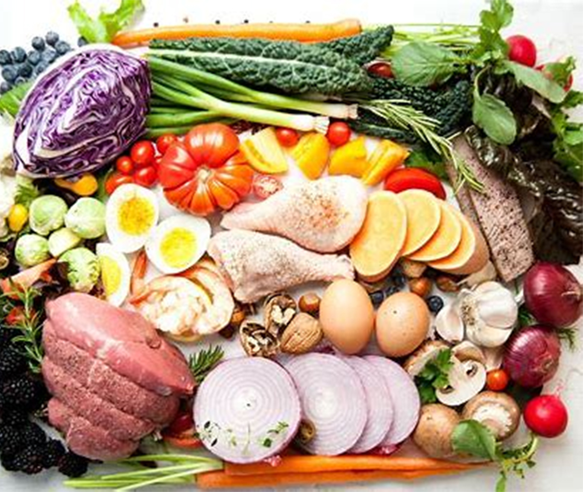 MANUAL DE RECEPCIÓN DE MATERIA PRIMA DE ALIMENTOS
